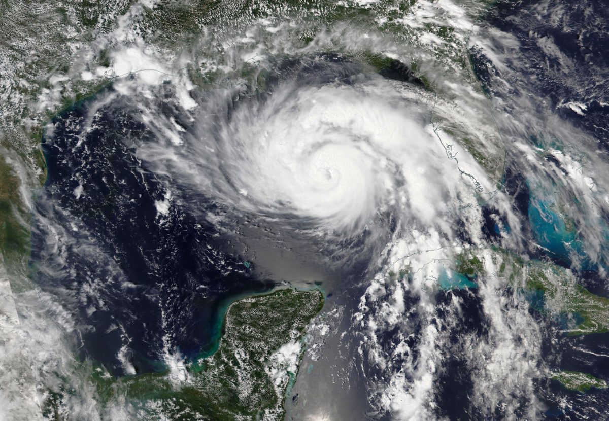satellite photo of Hurricane Ida