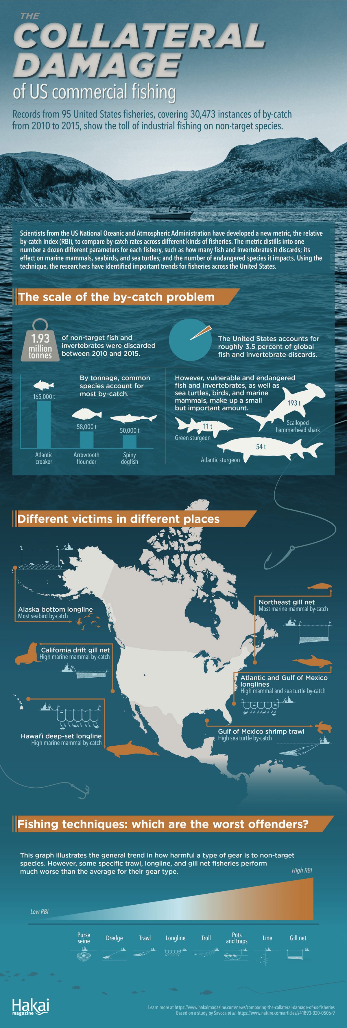 bycatch in US fisheries infographic