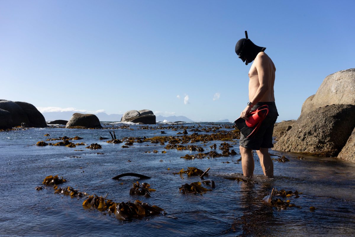 Jannes Landschoff prepares to dive into kelp forest