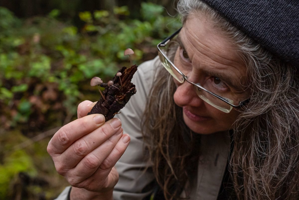 Juliet Pendray examining mushrooms