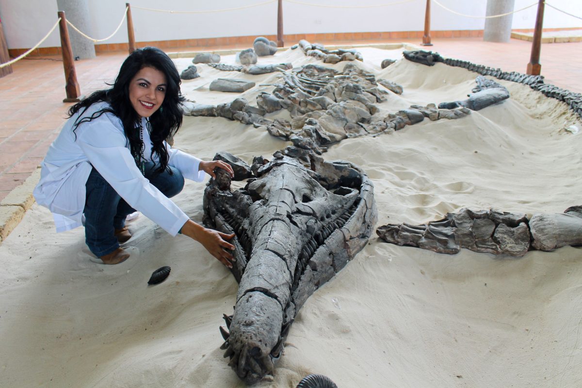 Mary Luz Parra Ruge with the skeleton of the predatory pliosaur Monquirasaurus (Kronosaurus) boyacensis