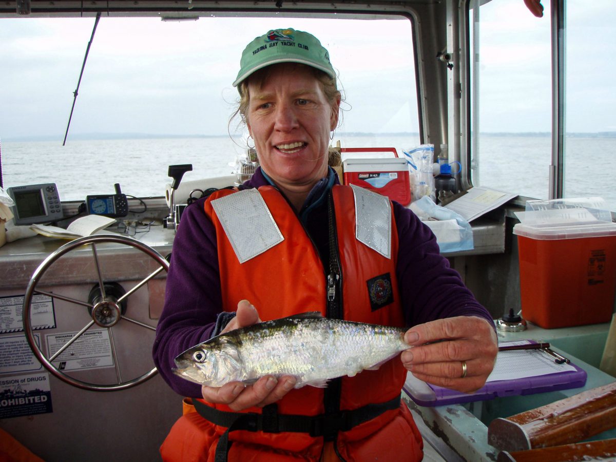 Fisheries biologist Laurie Weitkamp 