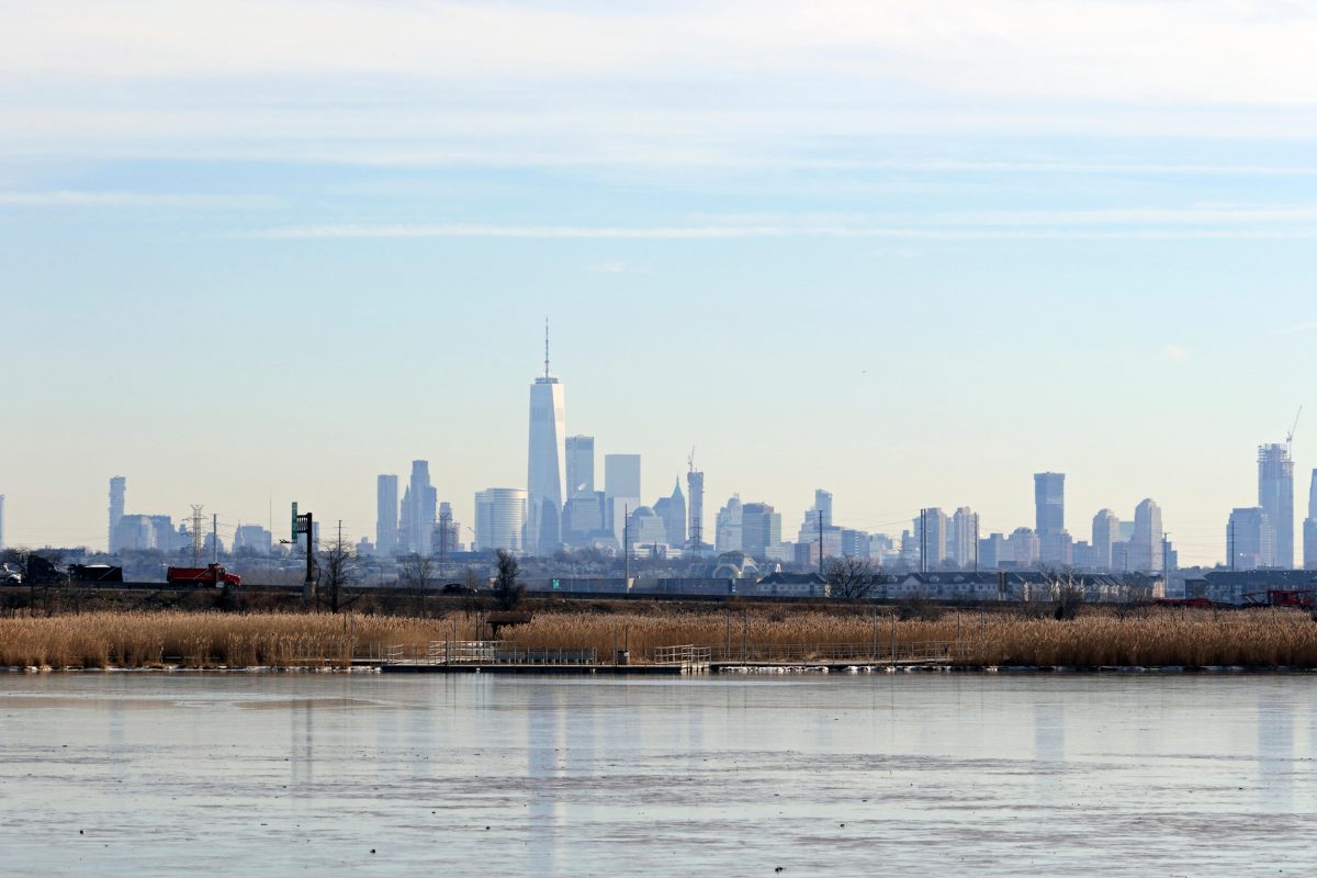 ower Manhattan skyline, New York City, viewed from the New Jersey Meadowlands, Lyndhurst, NJ, USA
