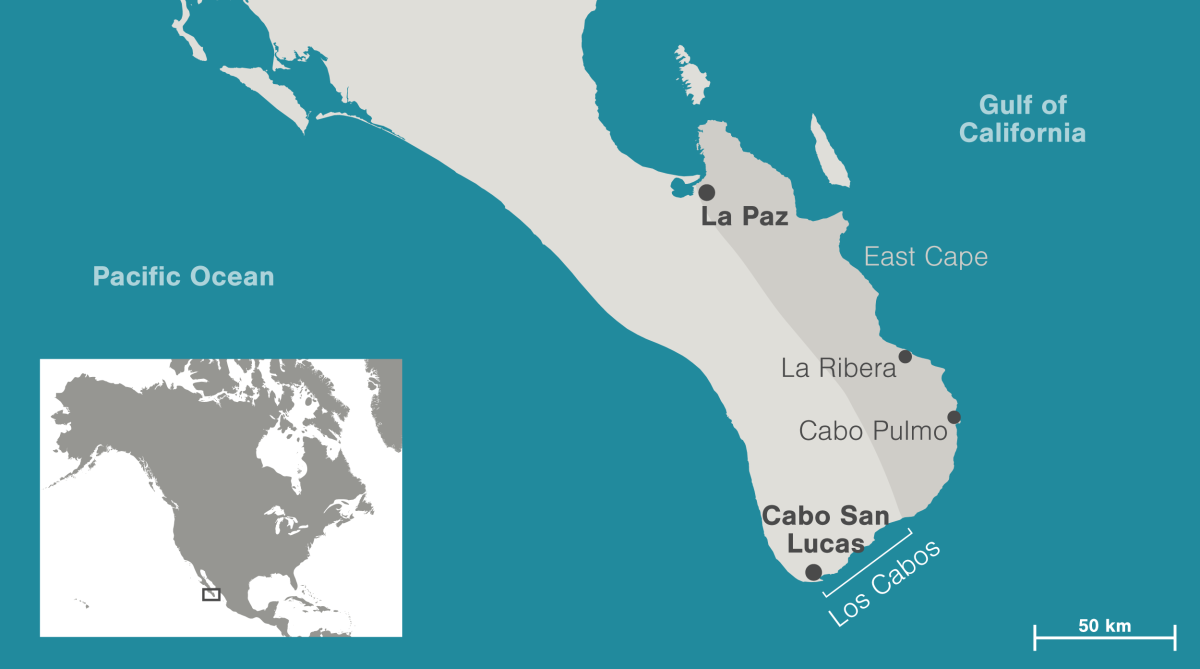 map of East Cape and Los Cabos
