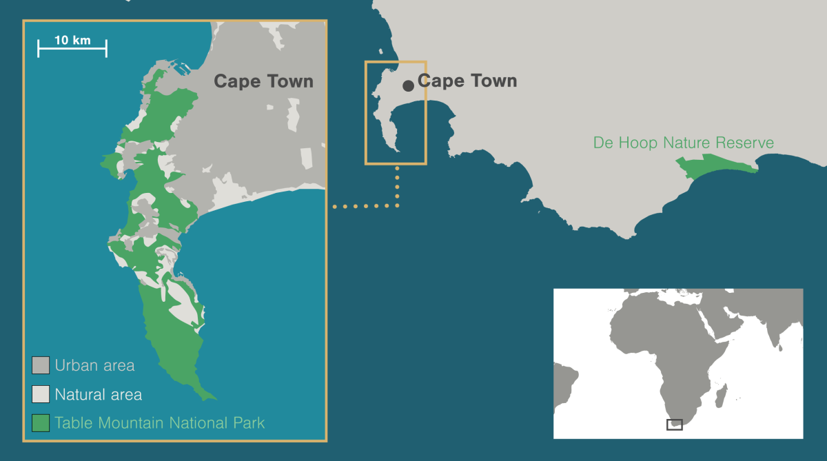 mapa de Ciudad del Cabo Sudáfrica