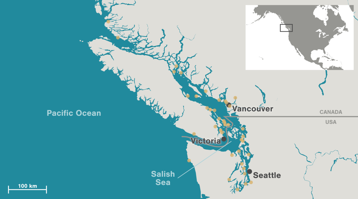 map of light trap locations in the Salish Sea