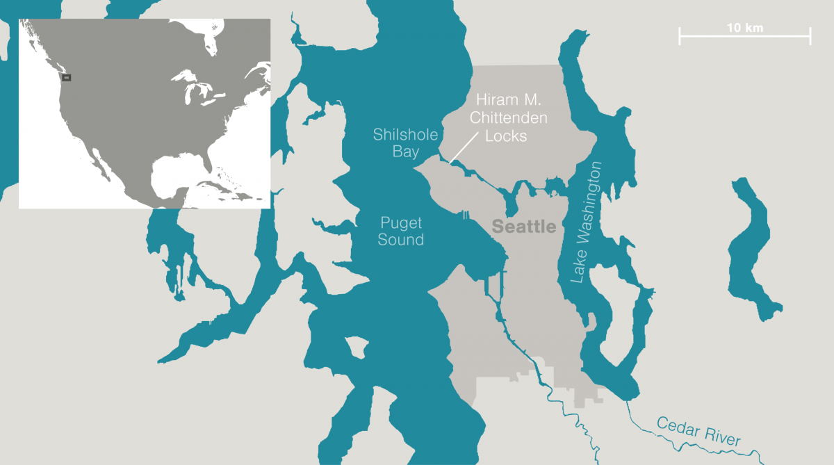 map of Seattle area showing Hiram M. Chittenden Locks