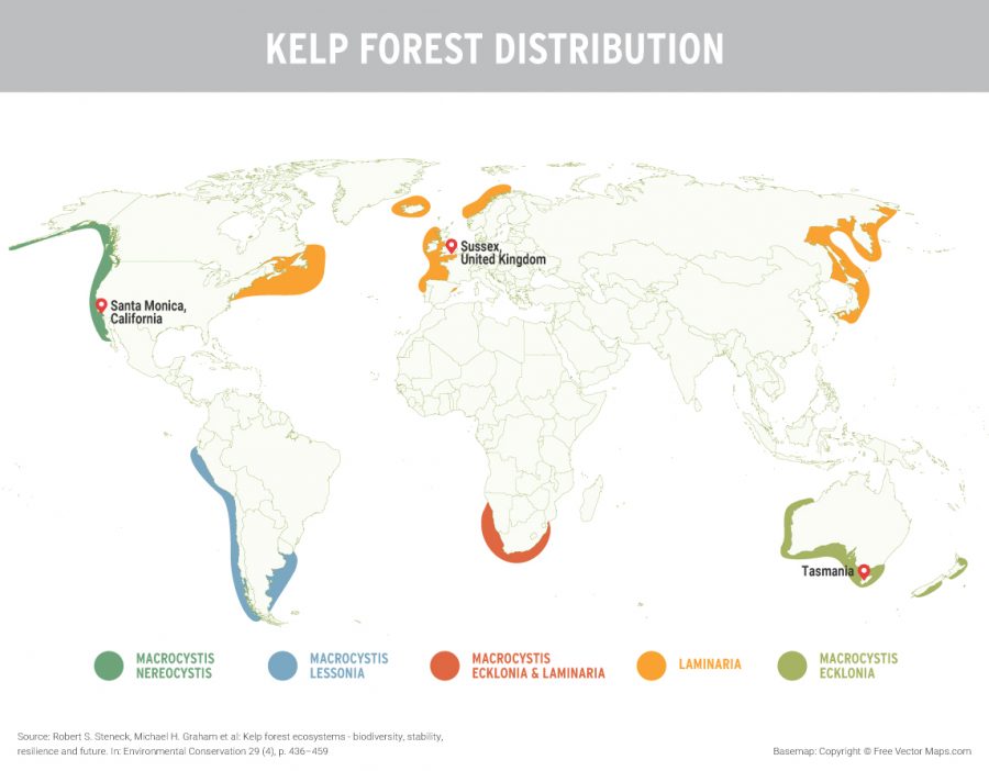map of global kelp distribution