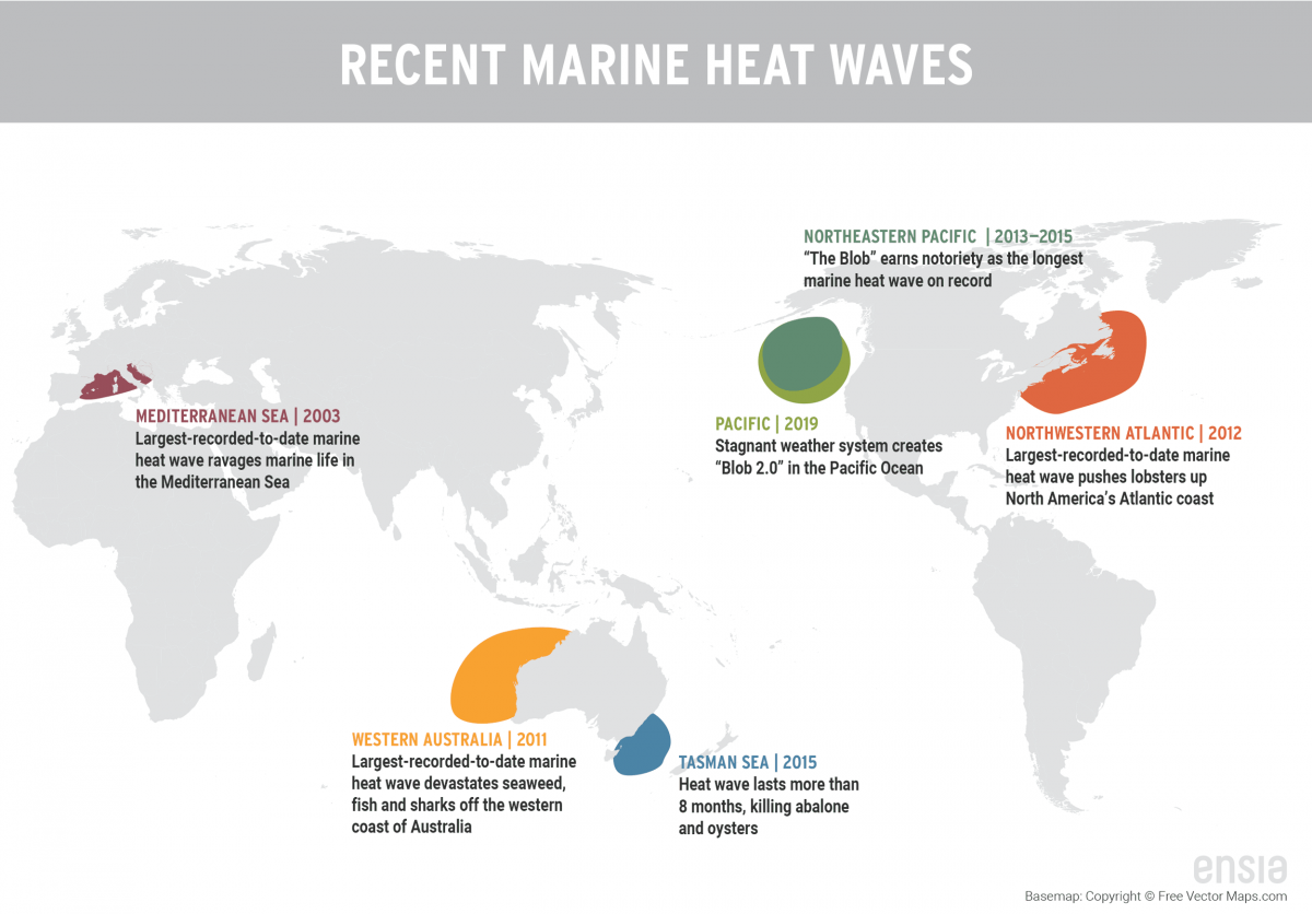 map of recent marine heatwaves