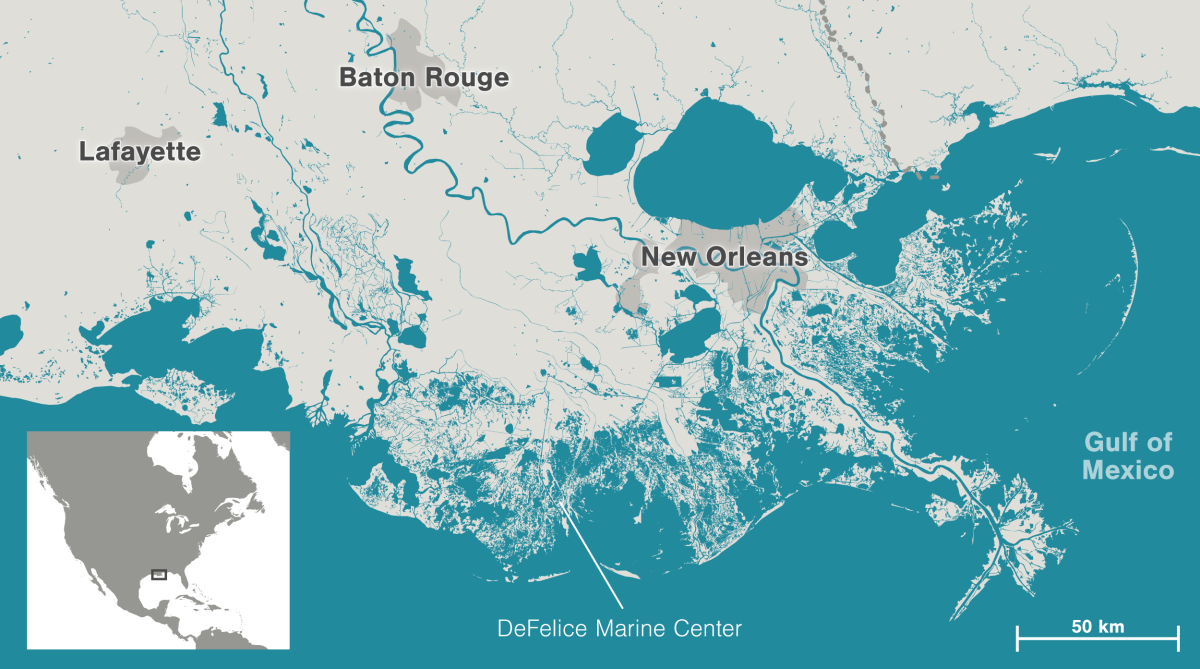 map of DeFelice Marine Centre location