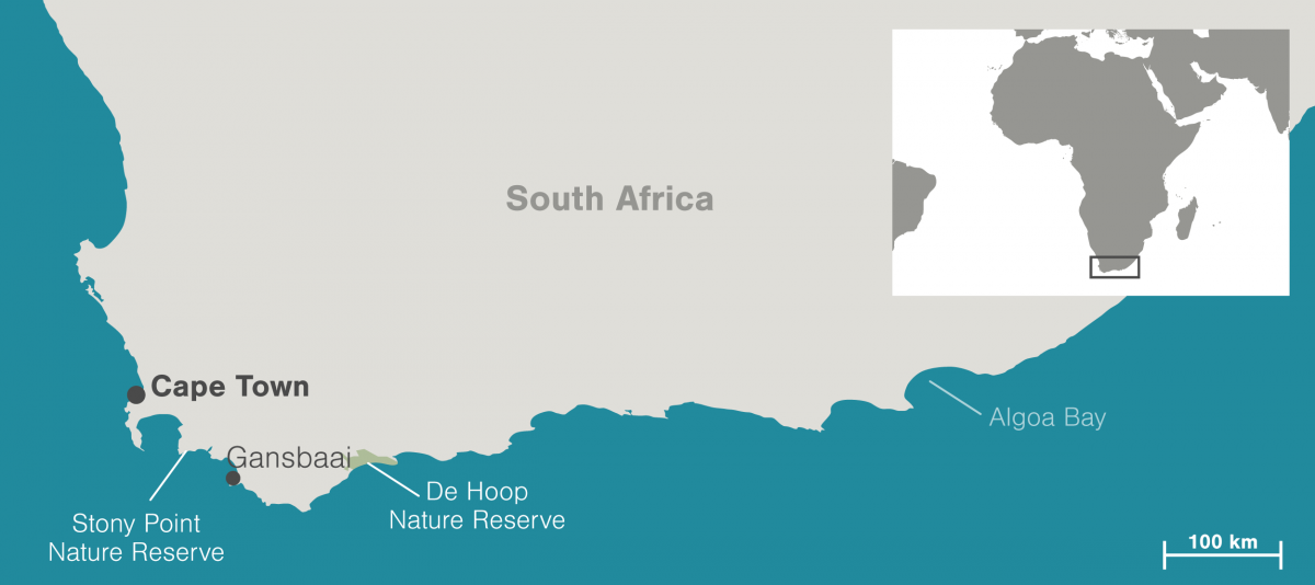 map of South Africa's southern coast