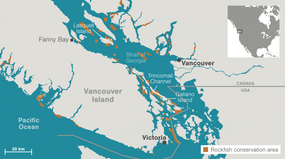 map of rockfish conservation areas in British Columbia