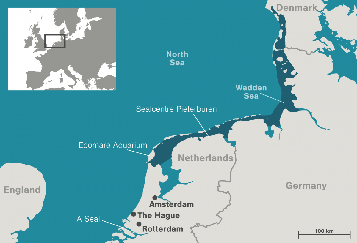Map of the Wadden Sea and seal sanctuaries in the Netherlands