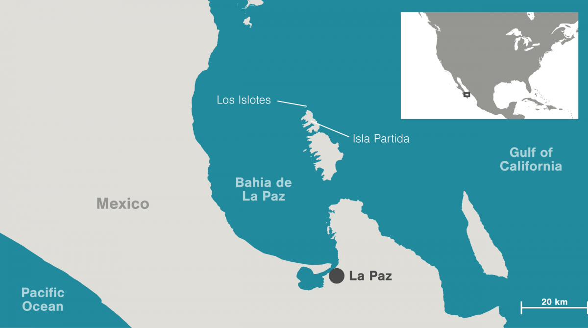 Map of Bahia de La Paz, Los Islotes, and Isla Partida