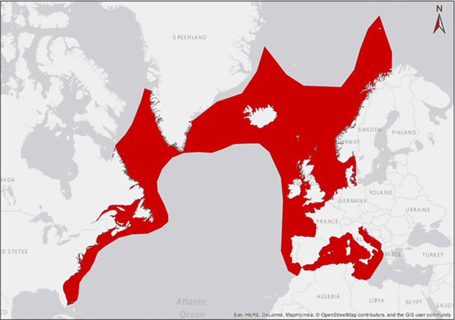 map of historical range of the great auk