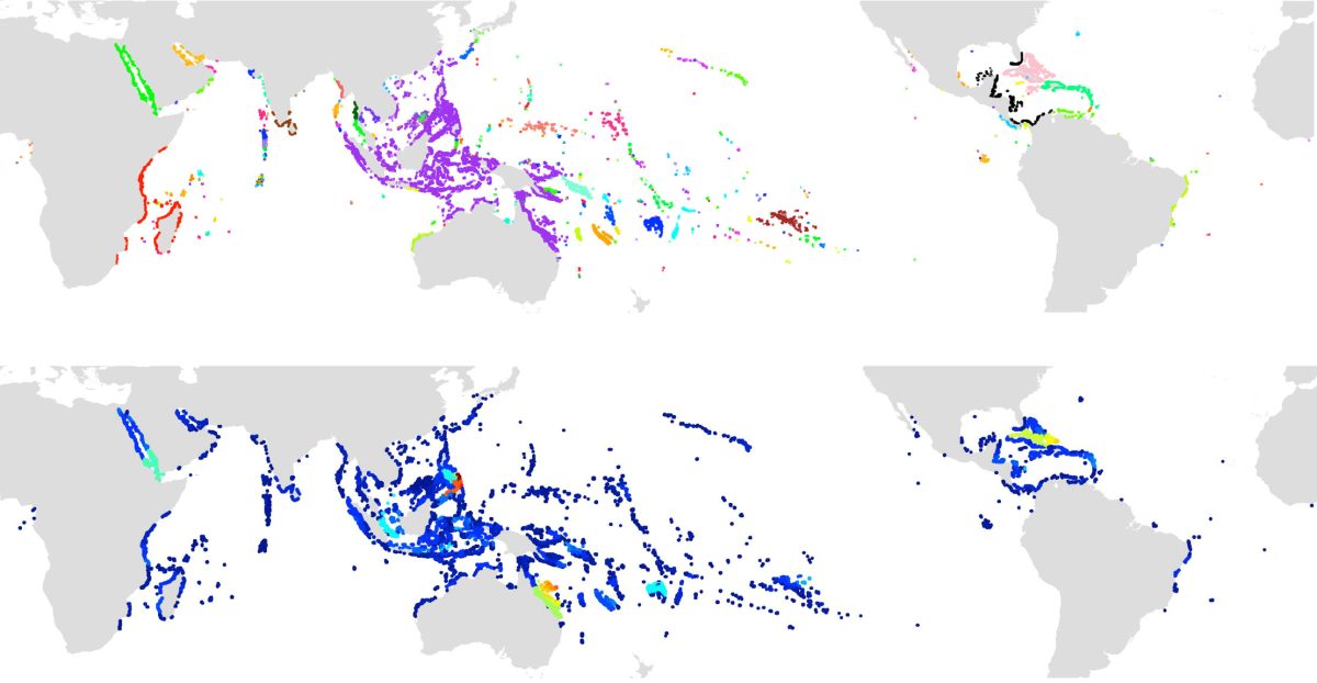 Map of coral reef networks