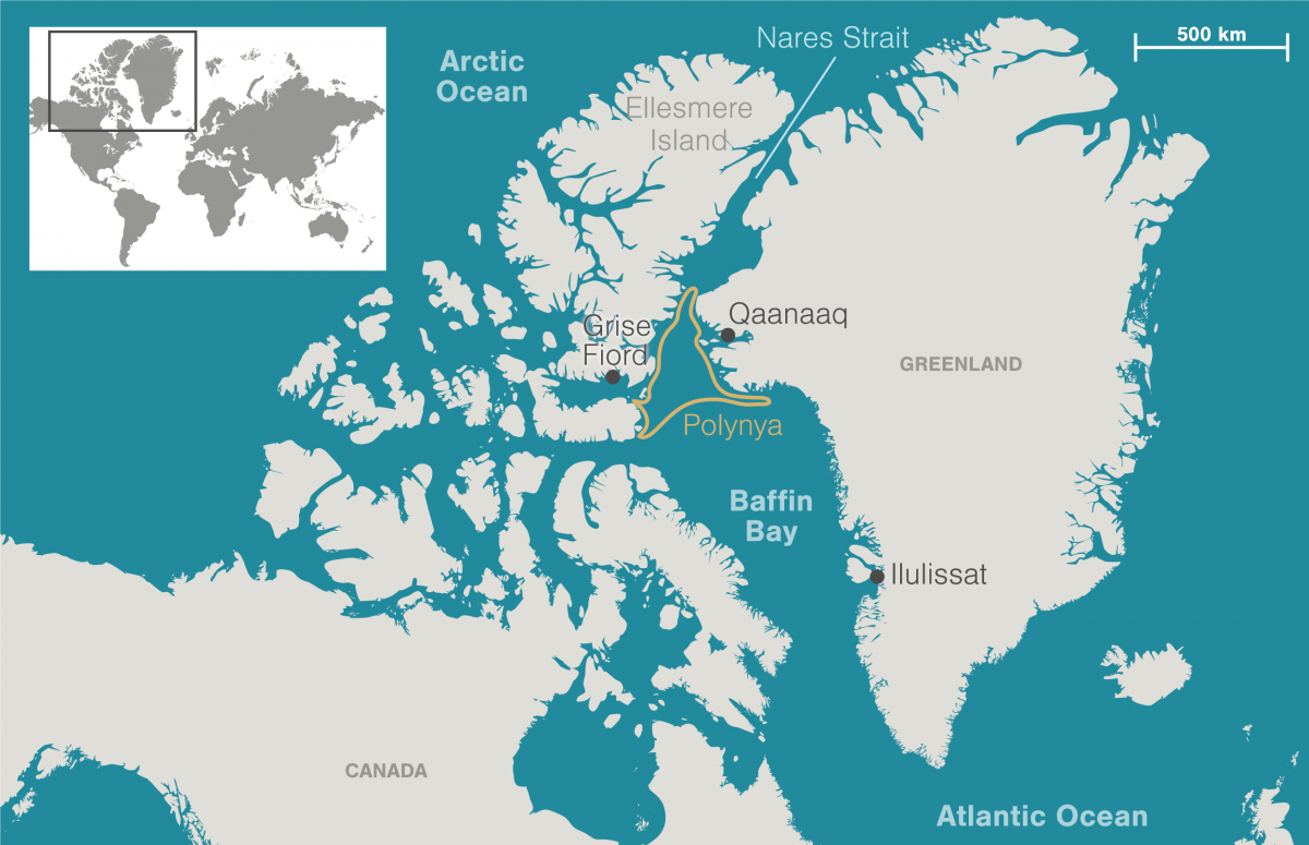 Map showing location of Pikialasorsuaq polynya between Greenland and Canada