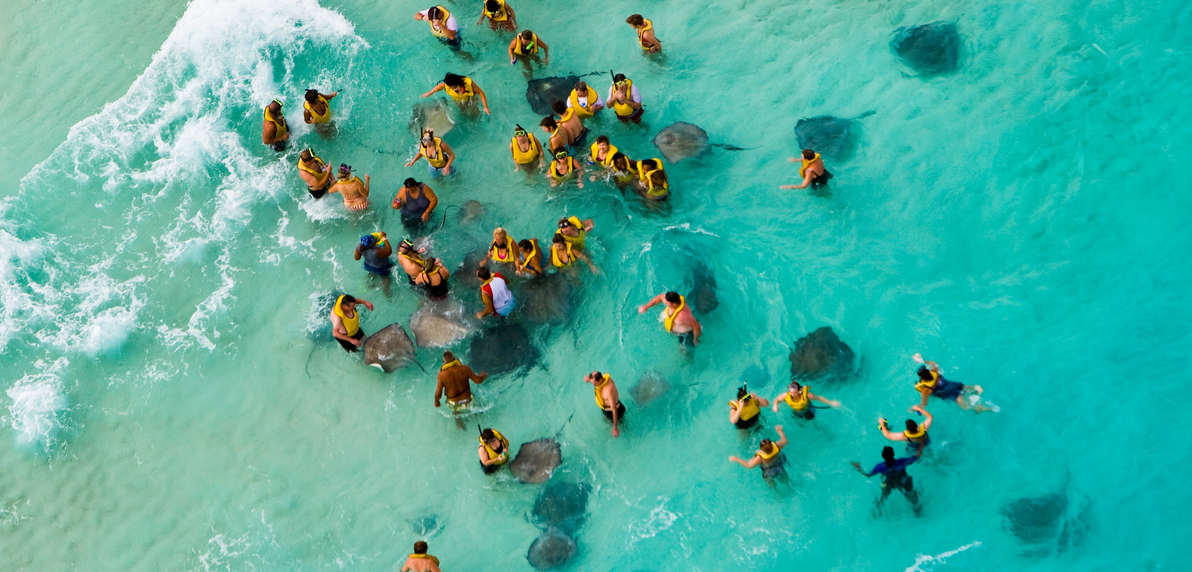 Nearly 800,000 people feed stingrays off Grand Cayman Island each year. Photo by Laurie Chamberlain/Corbis
