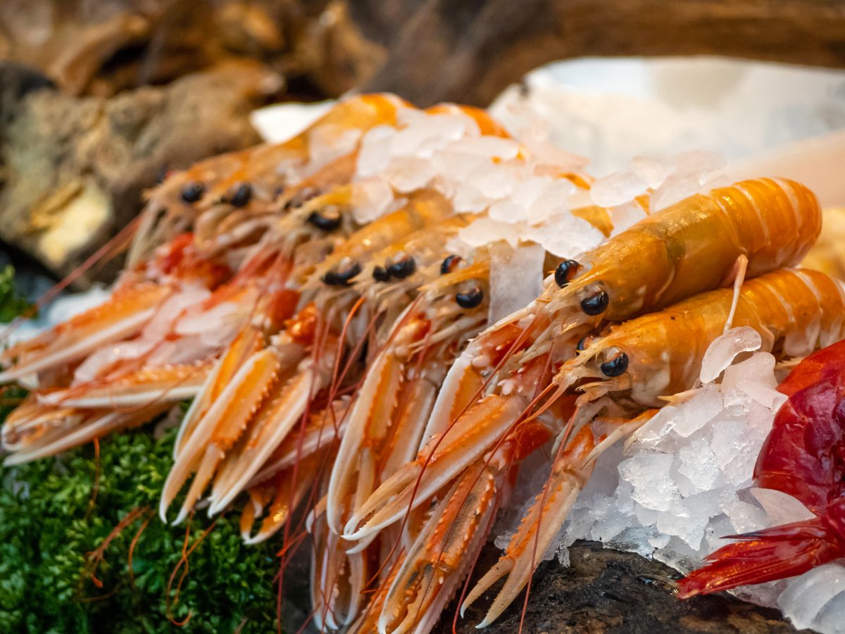 langoustines on ice at a market