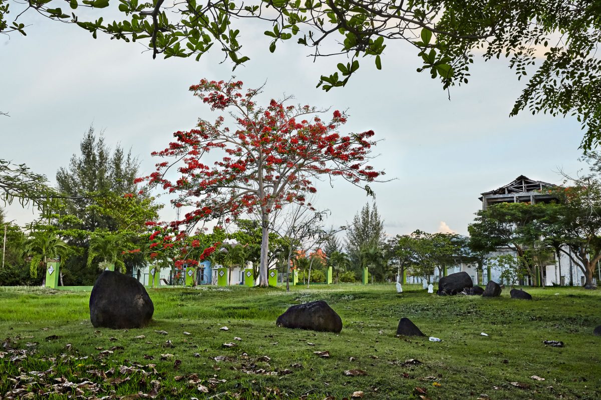 mass grave of more than 14,000 tsunami victims in Banda Aceh, Indonesia. 