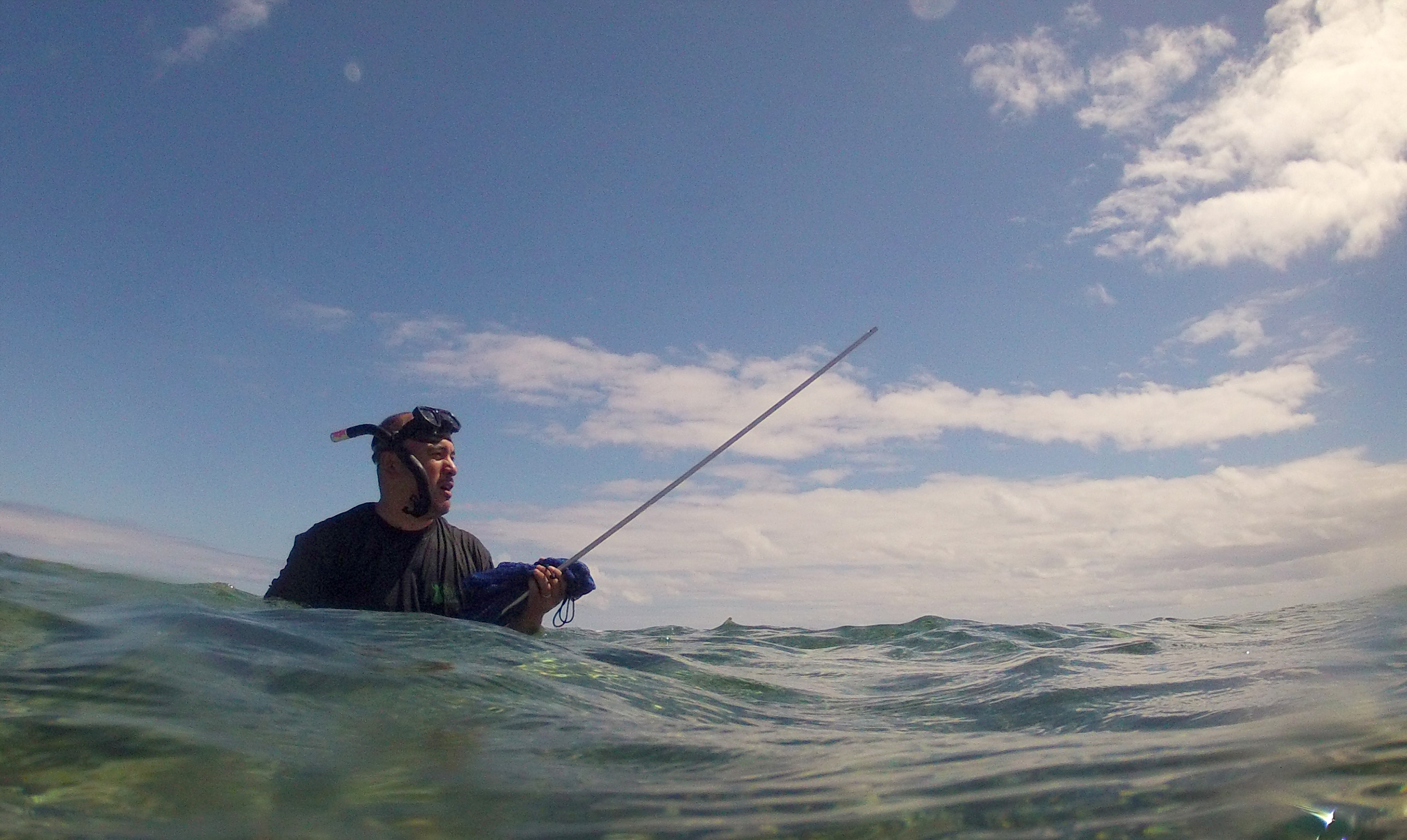 Early Mornings on the Coast: Spearfishing in Hawaii - Harvesting