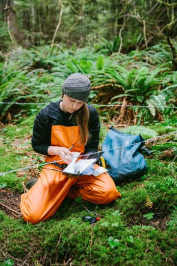 Megan Adams records data at a bear fur collection station in British Columbia. Photo by Jeremy Koreski
