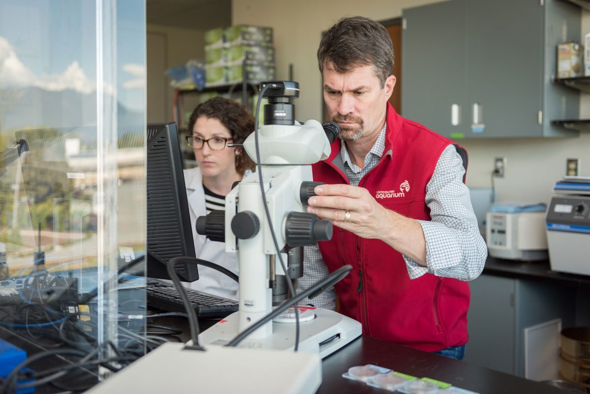 Peter Ross examines microfibers. By examining the unique chemical signatures of different kinds of fibers, he hopes to help narrow down where the microfibers come from in any given sample of seawater. Photo courtesy of the Ocean Wise Conservation Association
