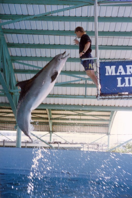 Kelly doing a mouth jump at Marine Life Oceanarium