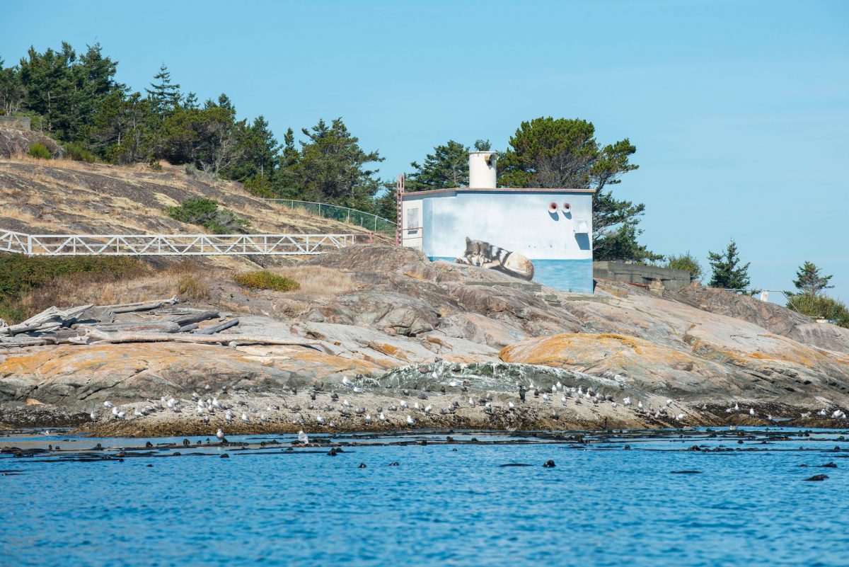 A decommissioned lighthouse on Discover Island sports a mural of Takaya, the wolf