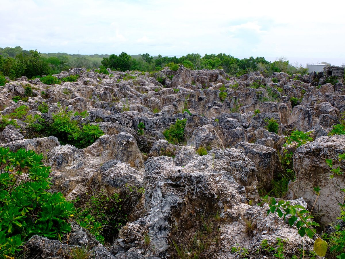 landscape affected by phosphate mining, Nauru