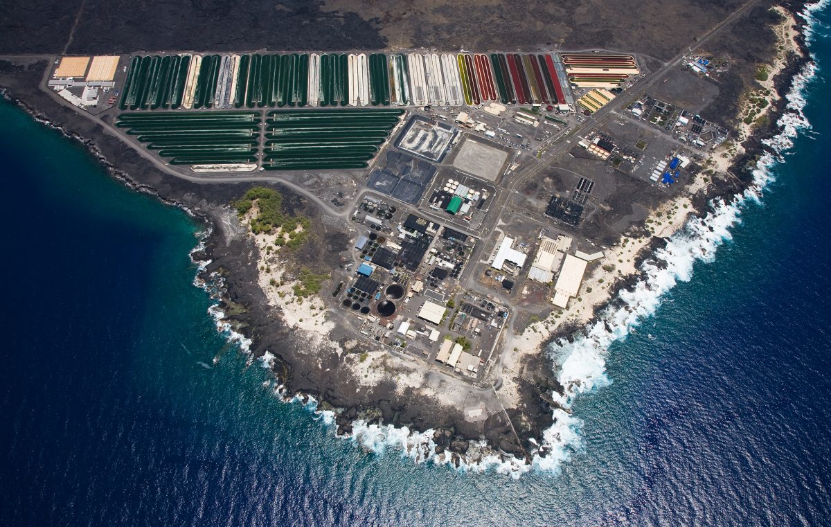 The Hawaii Ocean Science and Technology Park