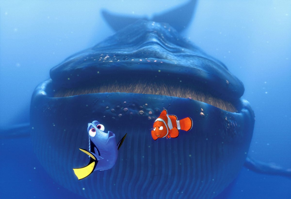 still from the film Finding Nemo