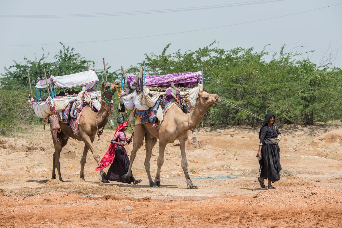 A nomadic Rabari family 