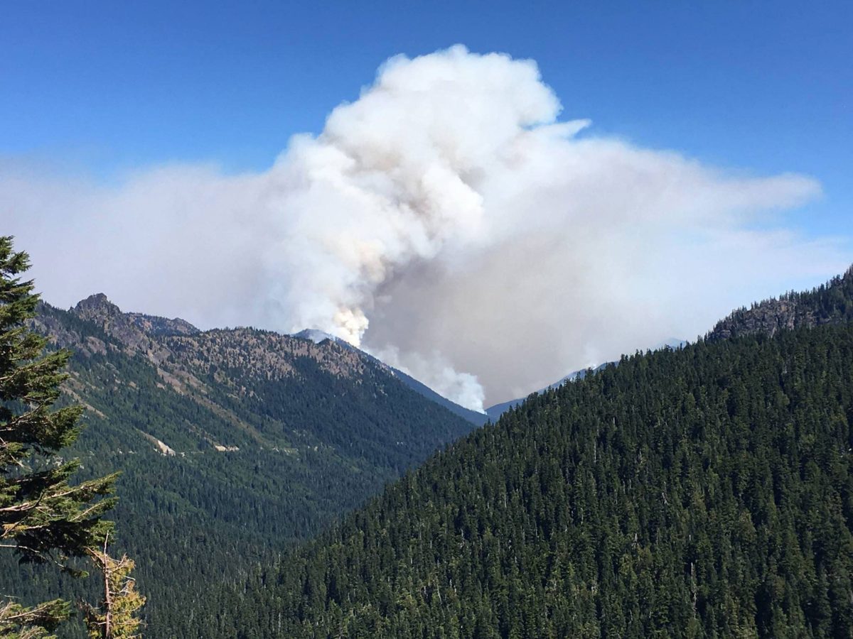 wildfire at Norse Peak