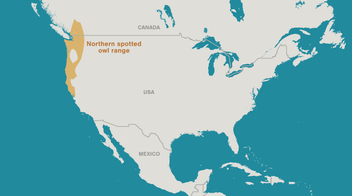 northern spotted owl range map
