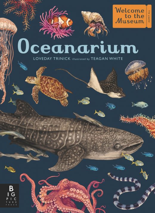 cover of Oceanarium by Loveday Trinick