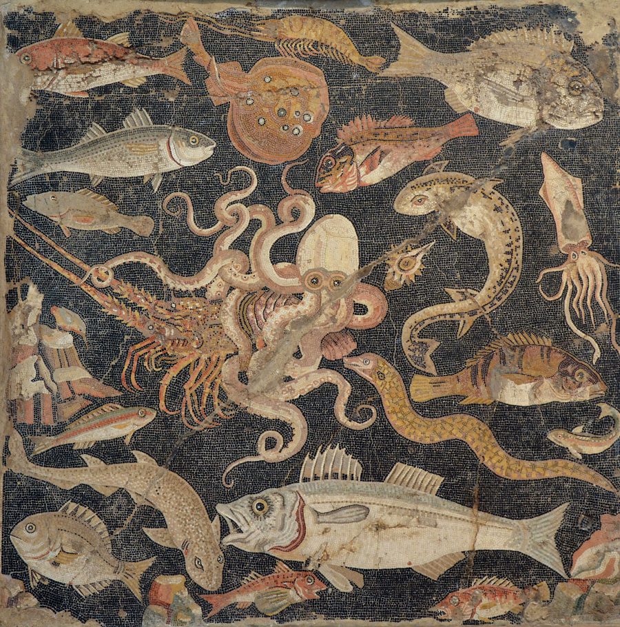 This second-century BCE mosaic from a Roman house in Pompeii includes what appears to be two sharks, a nursehound in the upper right and a lesser spotted dogfish in the lower left, and a torpedo ray, a type of electric ray, in the top center. Photo by Naples National Archaeological Museum