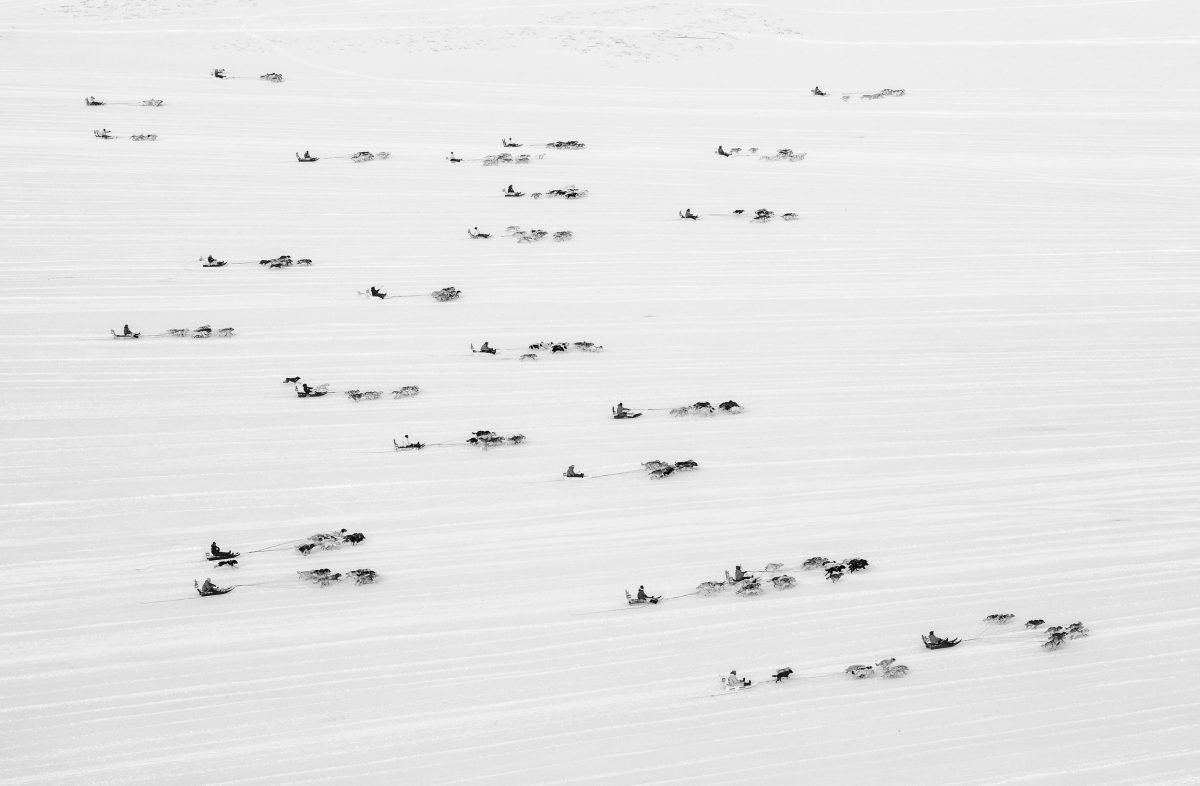dog sledders in Greenland