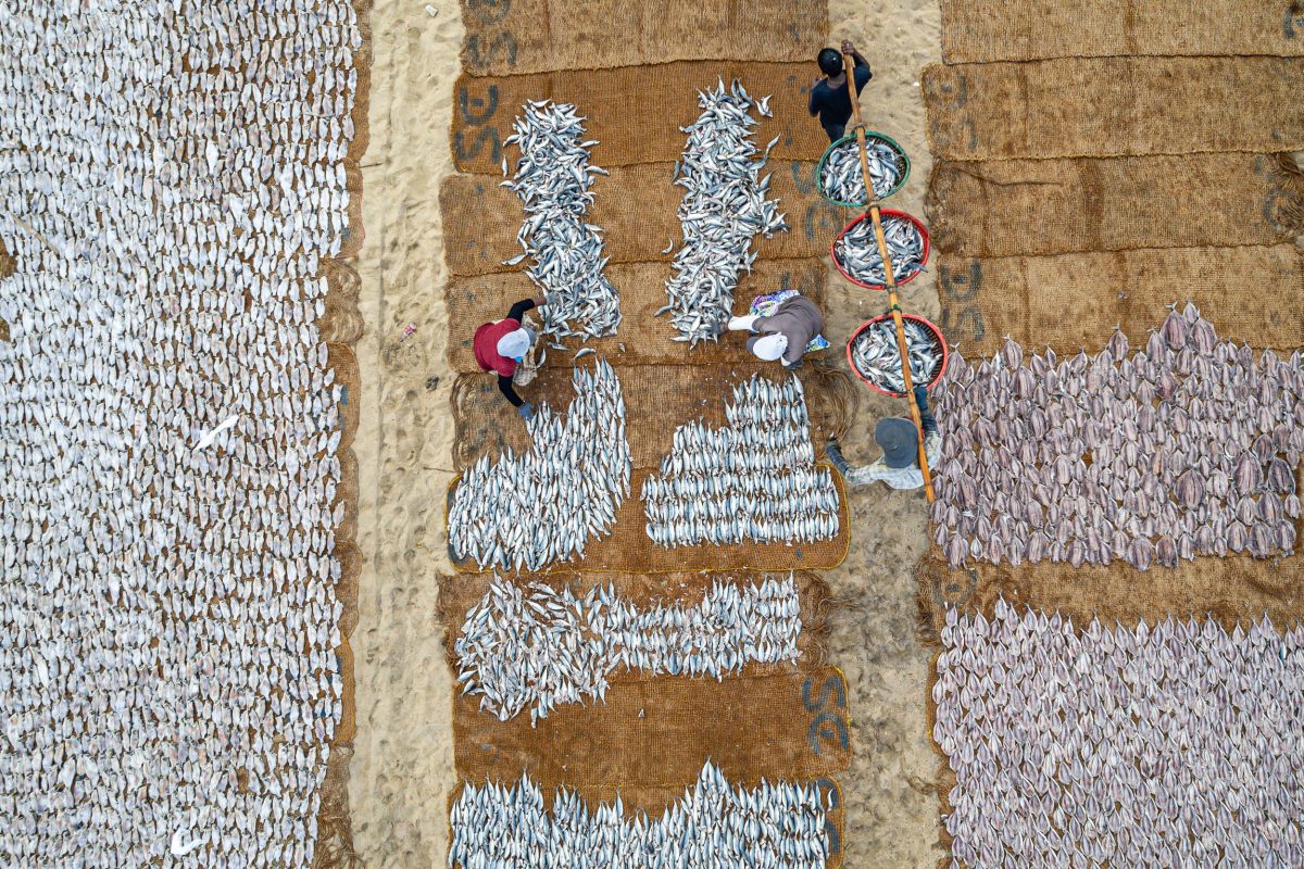 drone photo of fish drying