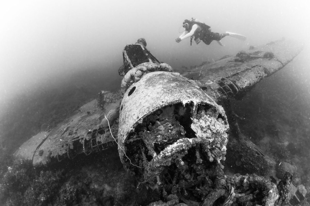 diver swimming next to sunken airplane