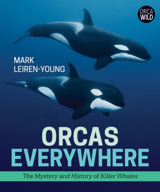 cover image for Orcas Everywhere