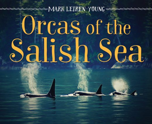 cover of Orcas of the Salish Sea