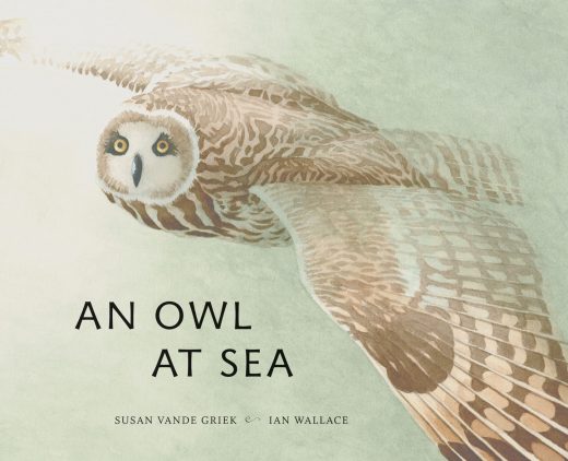 cover image for An Owl at Sea