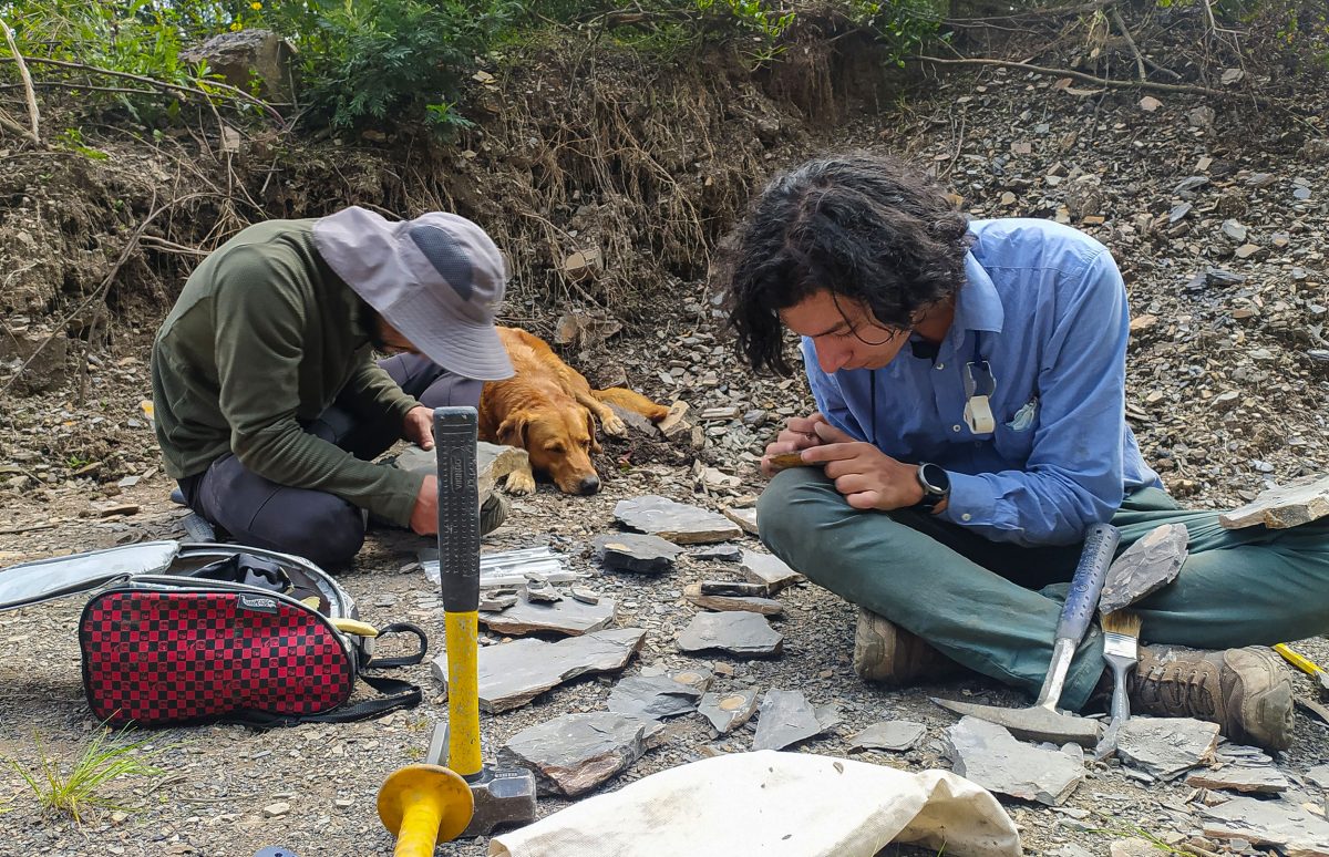 Héctor Palma-Castro, right, works with a partner to uncover plant fossils in the Paja Formation. 