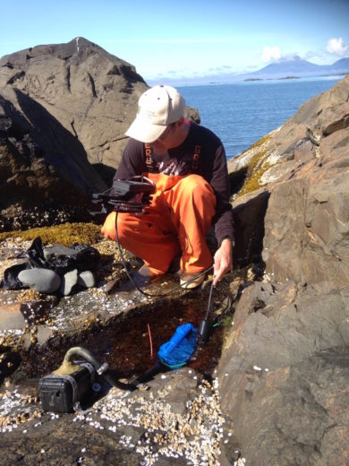 Researcher Matthew Bracken tests the oxygen concentration of a tide pool. Nearby, a blue heater and black yeast reactor are used to manipulate the temperature and carbon dioxide concentration of the water. Photo by Cascade Sorte