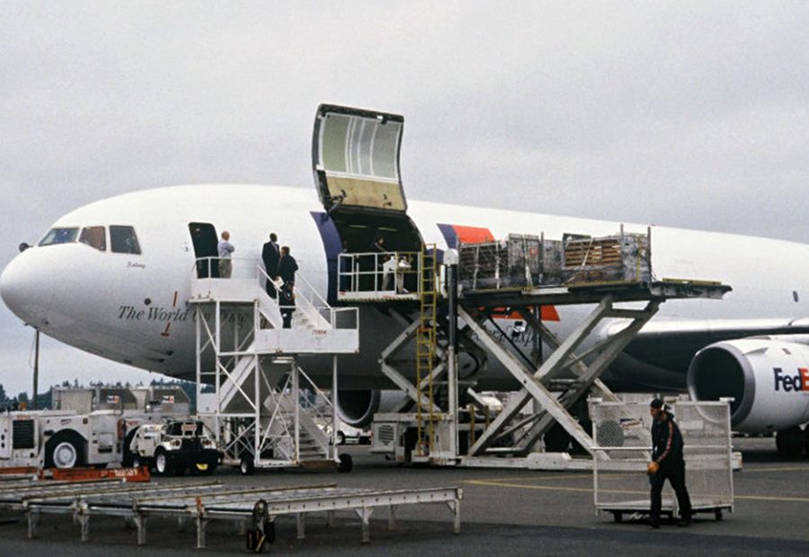 Sea lions being loaded onto a FedEx plane