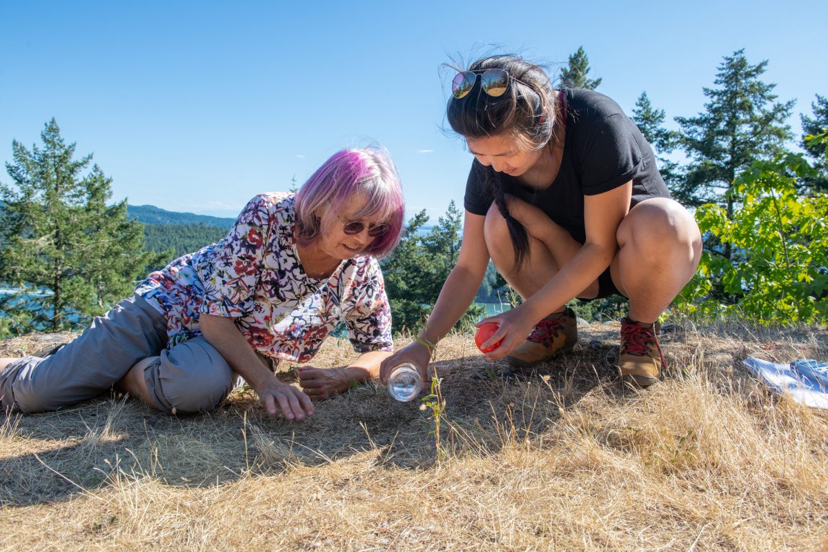 Marina Wang and Pam Janszen add water to Triquetrella californica moss