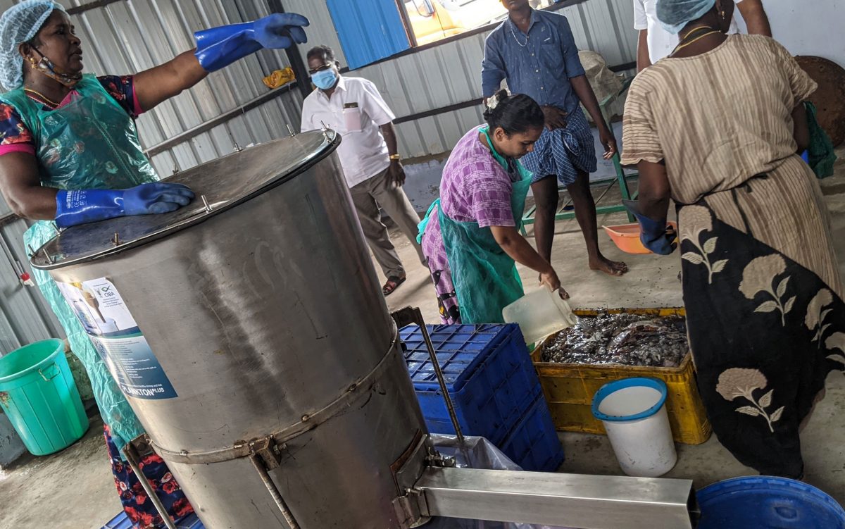 workers preparing fish waste to be gound