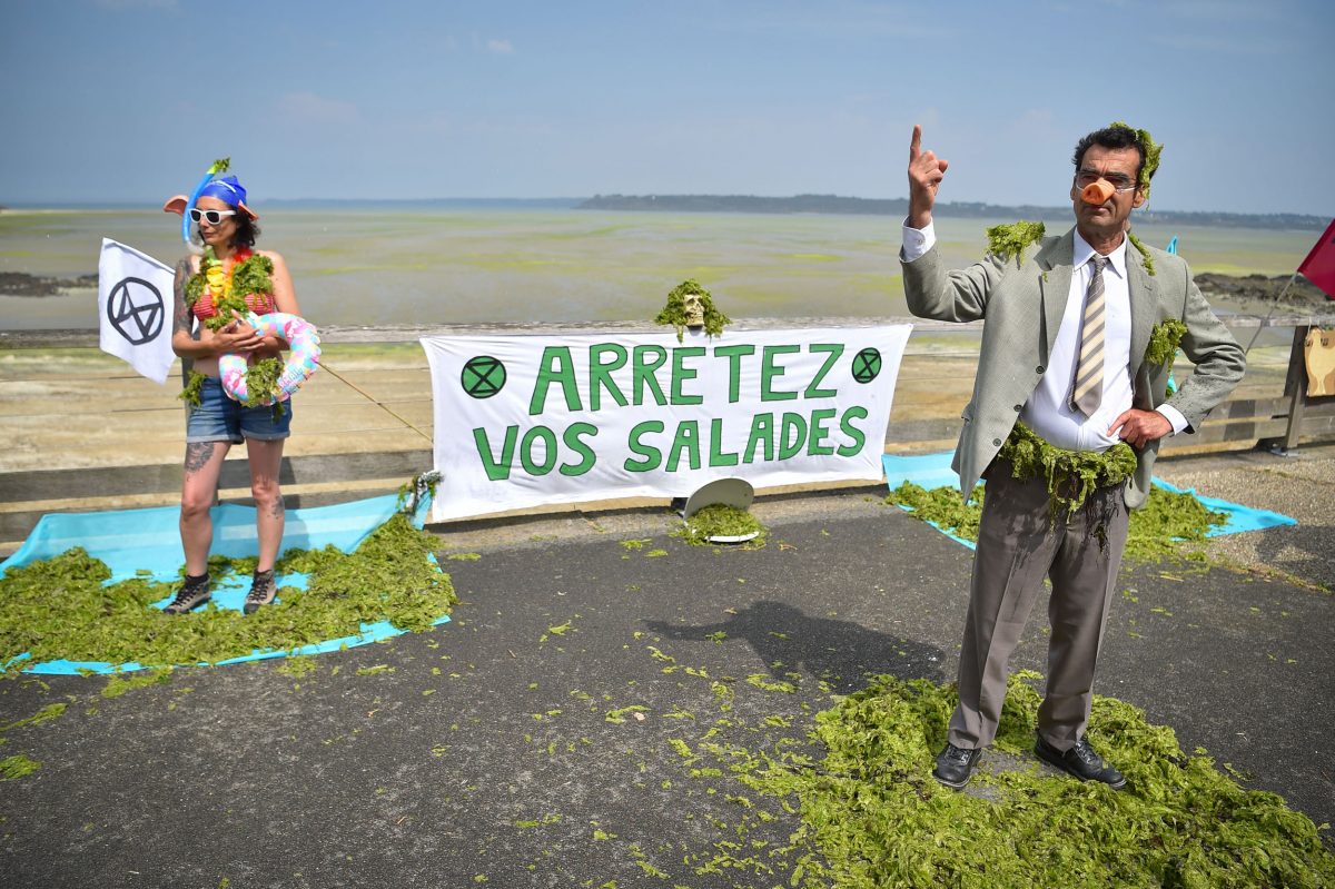 Activists protest the lack of government action on toxic green tides in Brittany, France