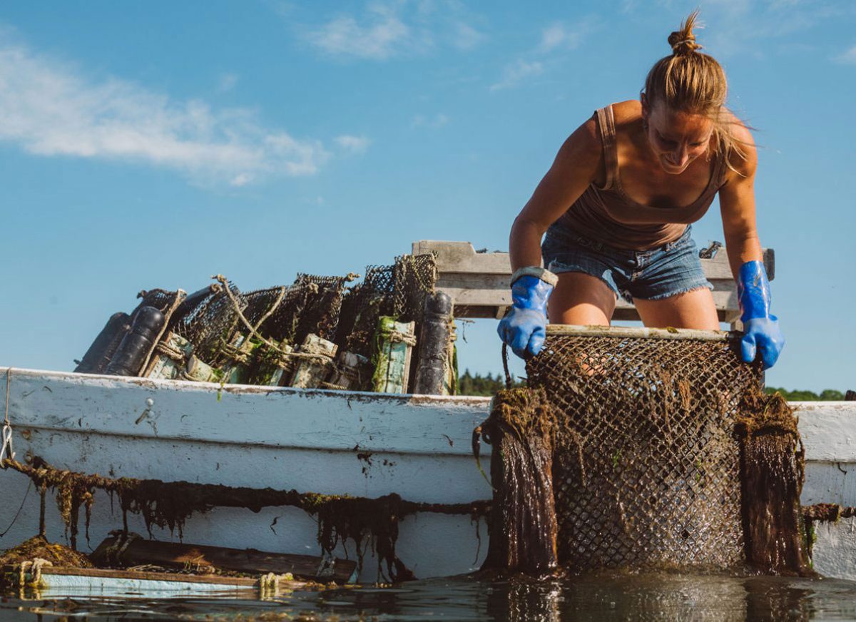 Ocean plastics researcher and oyster farmer Abby Barrows pulls up an experimental oyster bag made of metal and wood